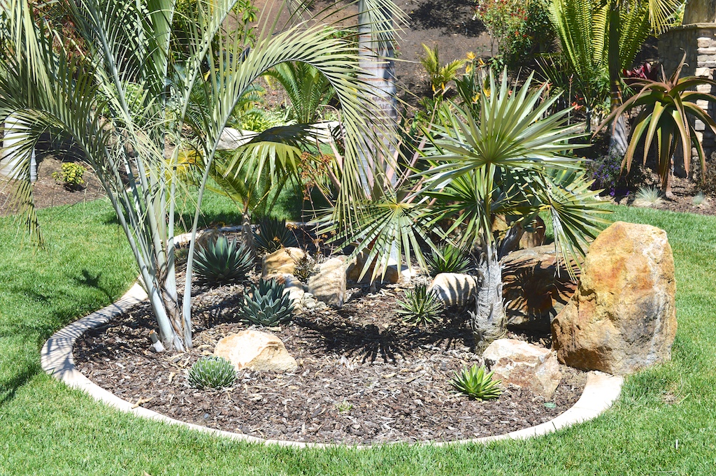 Front View of Boutique Agave Planter Bed with Mulch