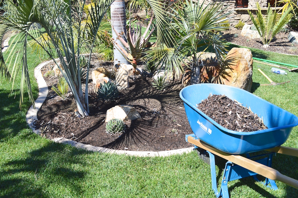 Removing Mulch from Boutique Agave Planter Bed