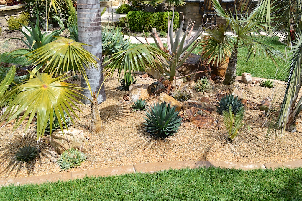 Side View of Boutique Agave Planter Bed with Mulch