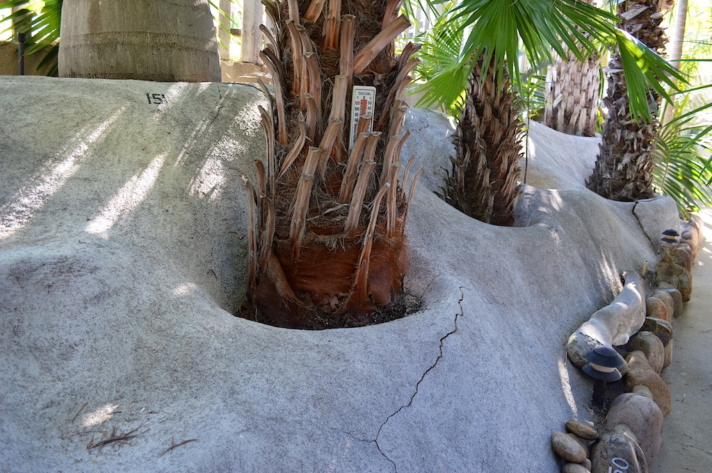 Dennis Willoughby's Concrete Palm Bowls