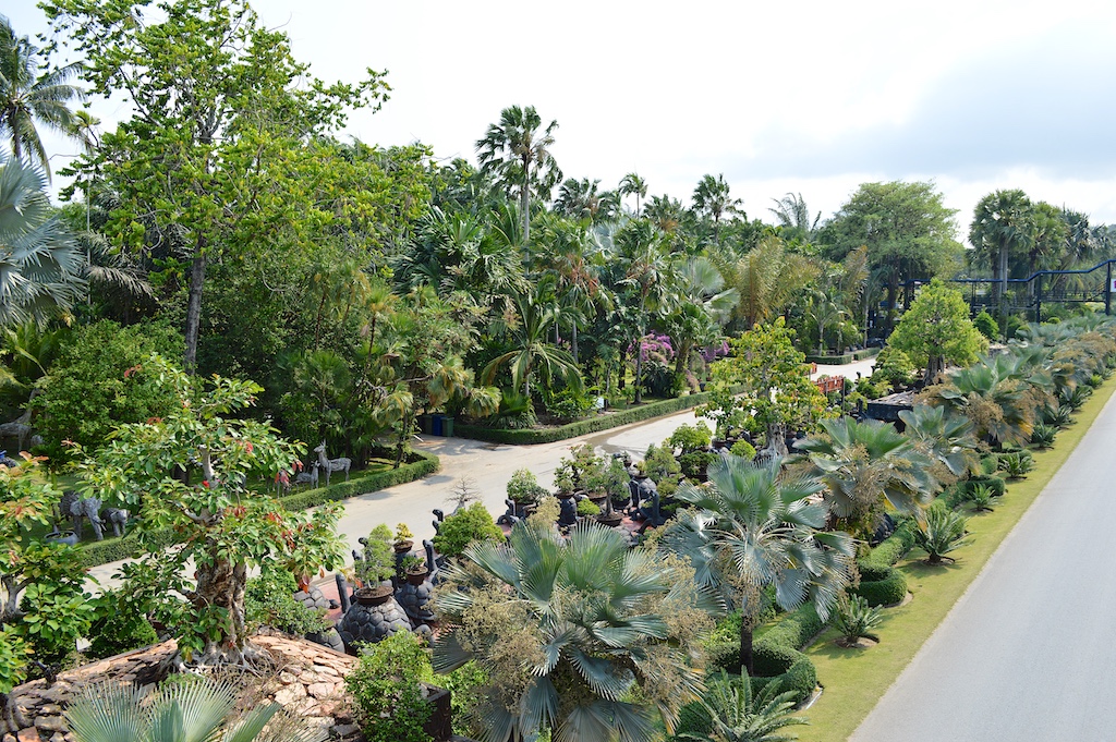 Nong Nooch Tropical Botanical Garden Palms