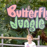 San Diego Zoo Safari Park Butterfly Jungle