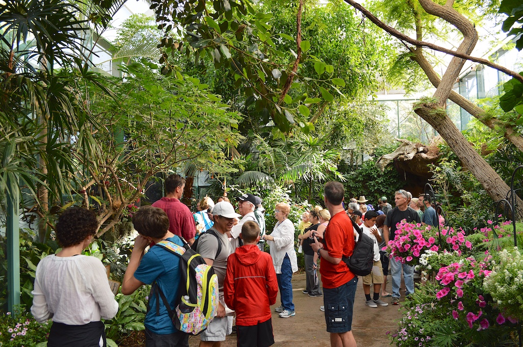 Safari Park Butterfly Jungle Crowd