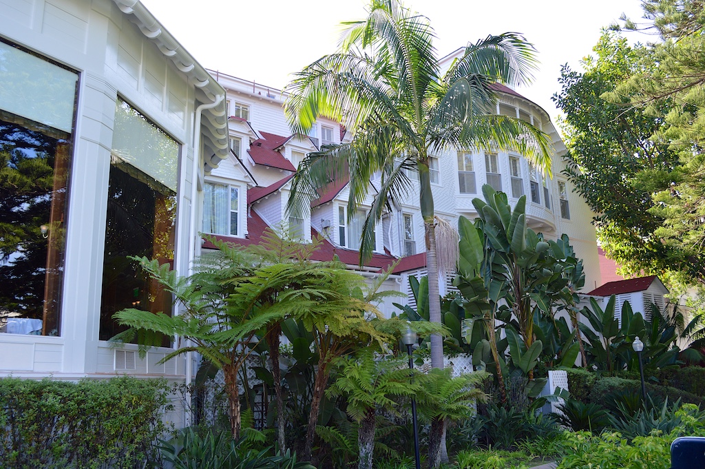 Hotel del Coronado Palms and Ferns