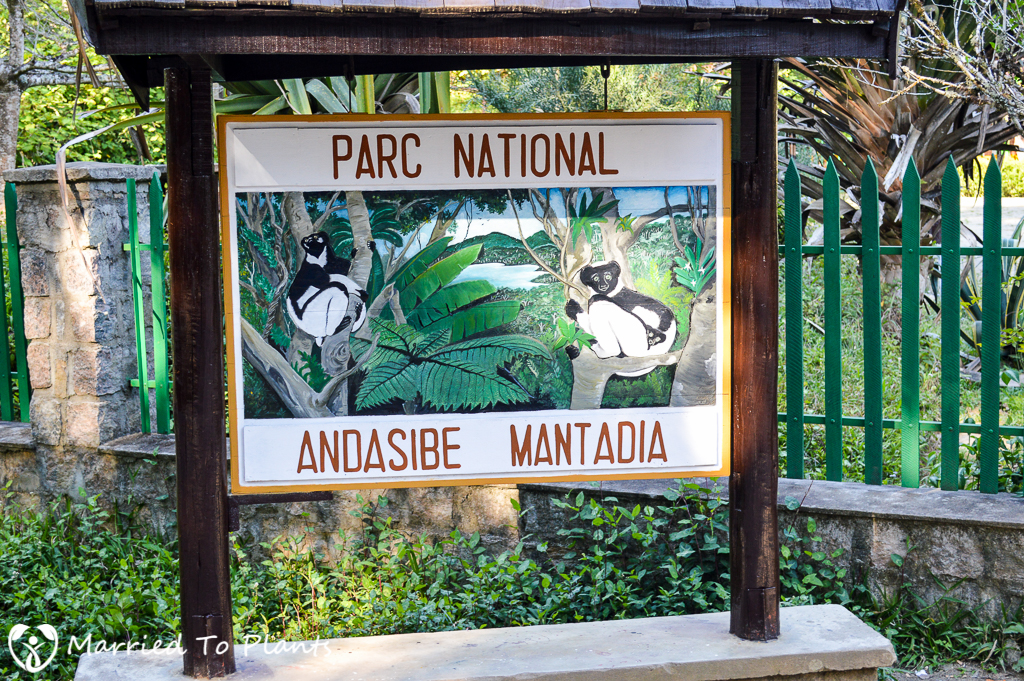 Analamazaotra Reserve Entrance