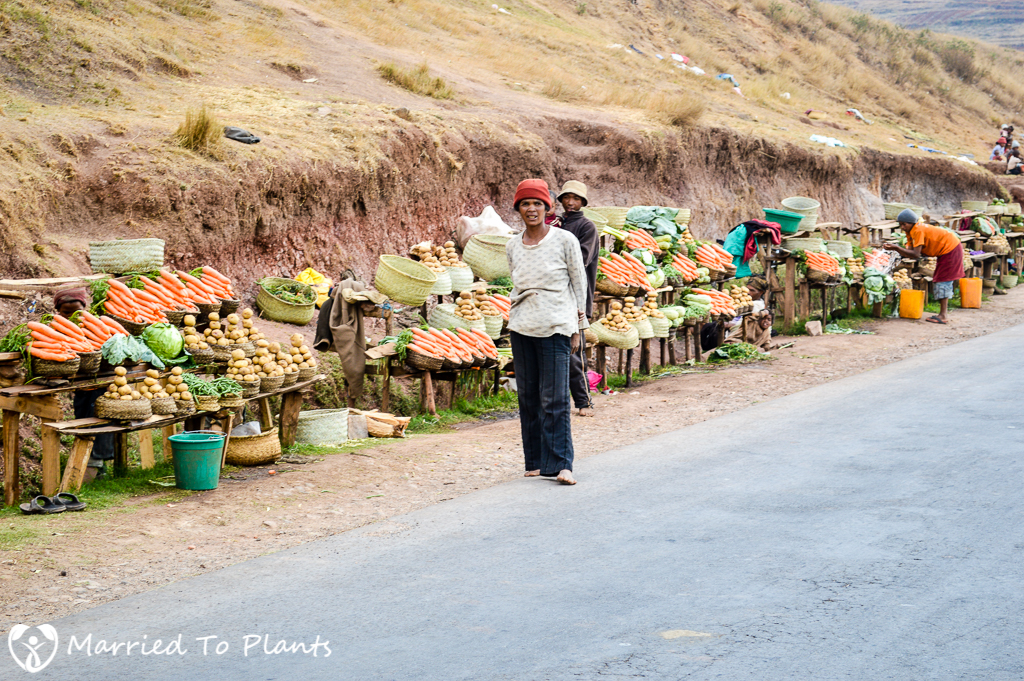 Road to Antsirabe - Vegetable Stand