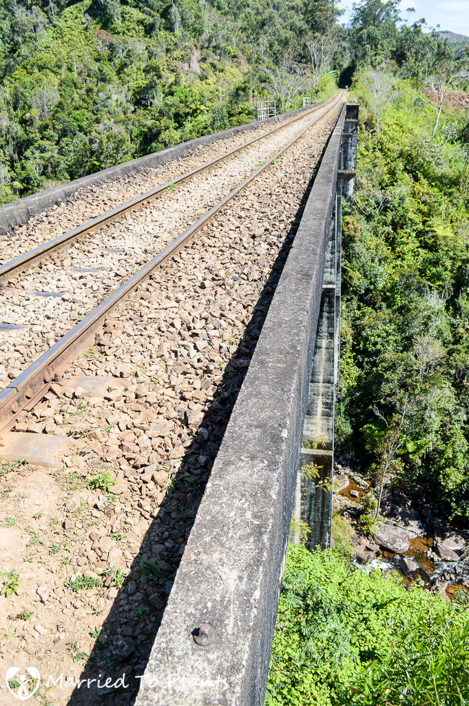 Vohimana Reserve Railroad