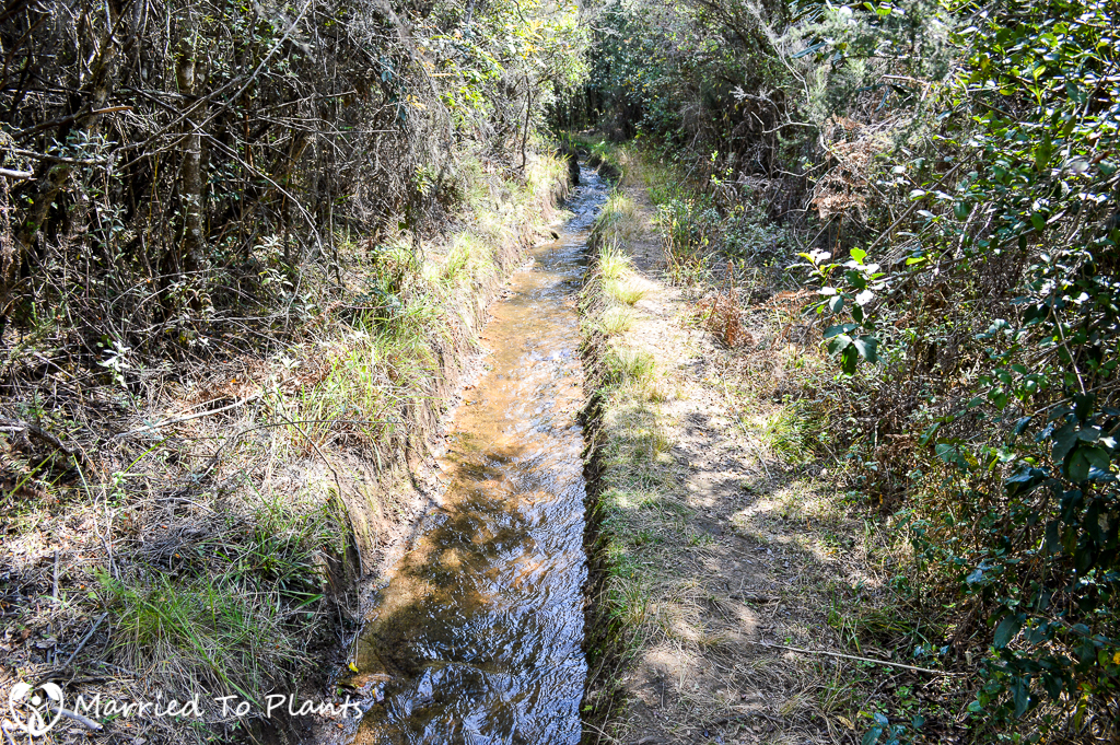 Andringitra National Park Irrigation Canal