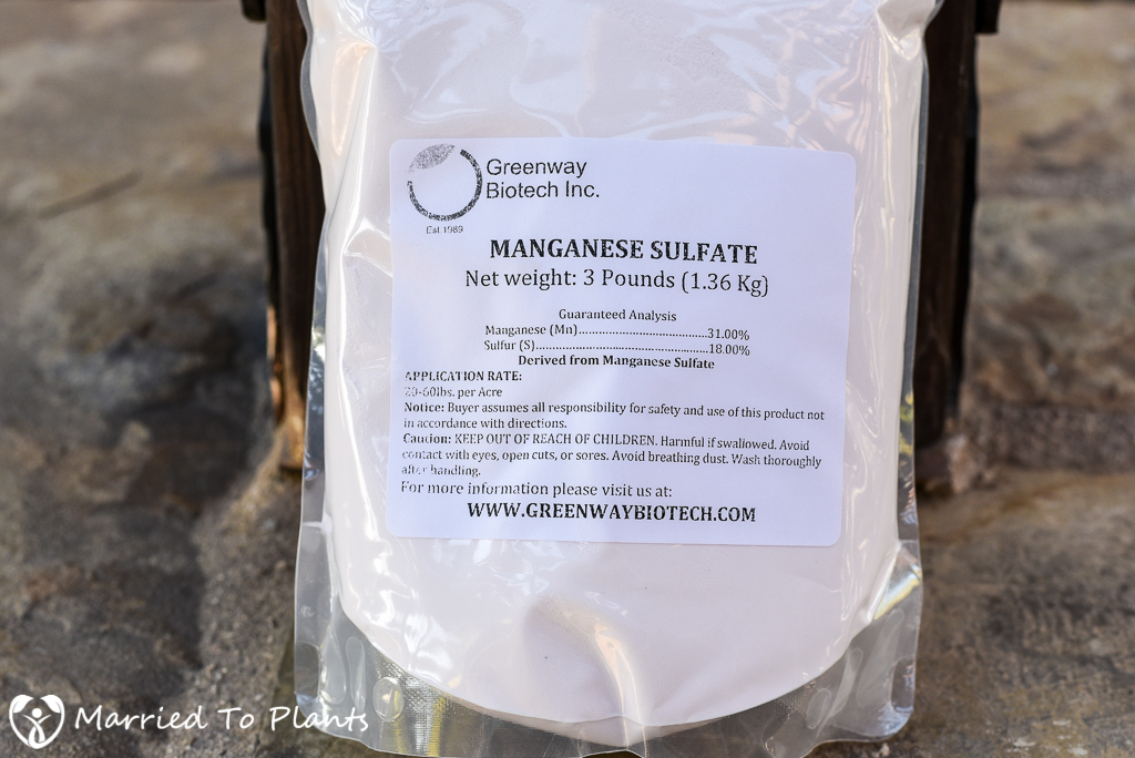 Spring Fertilizing Manganese Sulfate