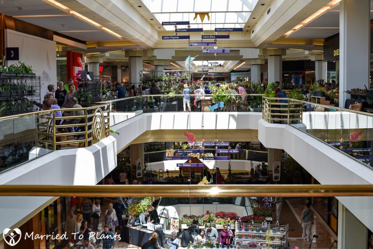 Southern California Spring Garden Show: At Home in The Garden