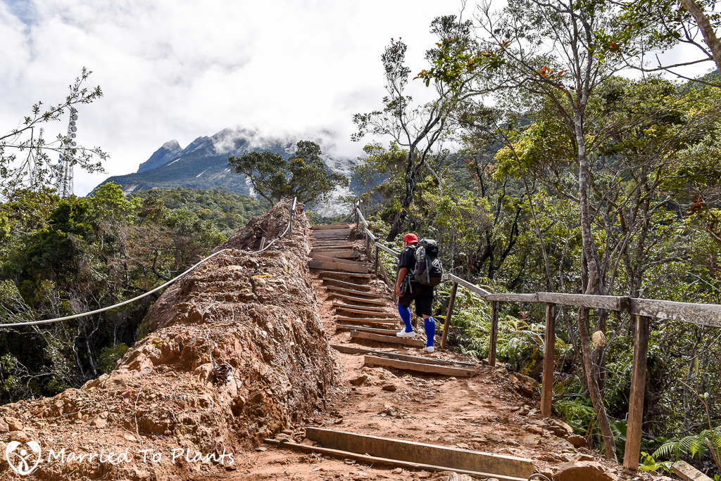 Mount Kinabalu Trail Steps