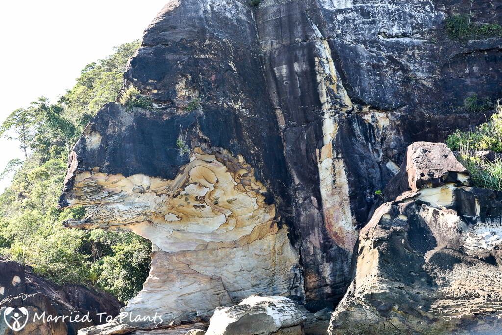 Bako National Park Limestone Rocks