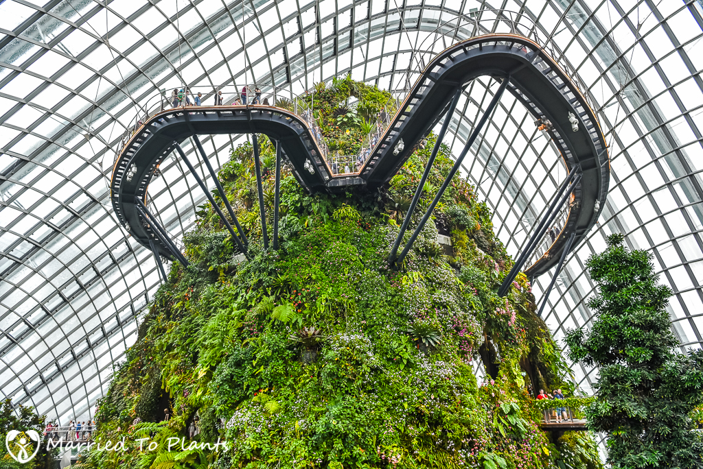 Gardens by the Bay Cloud Forest Sky Walk