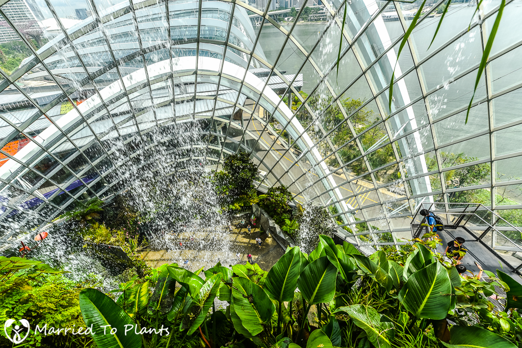Gardens by the Bay Cloud Forest Waterfall Looking Down