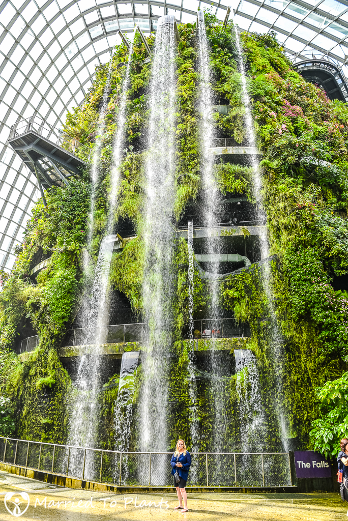Gardens by the Bay Cloud Forest Waterfall
