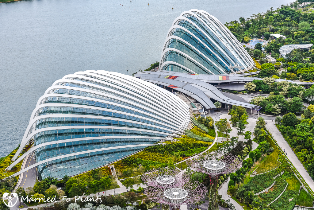 Gardens by the Bay Domes