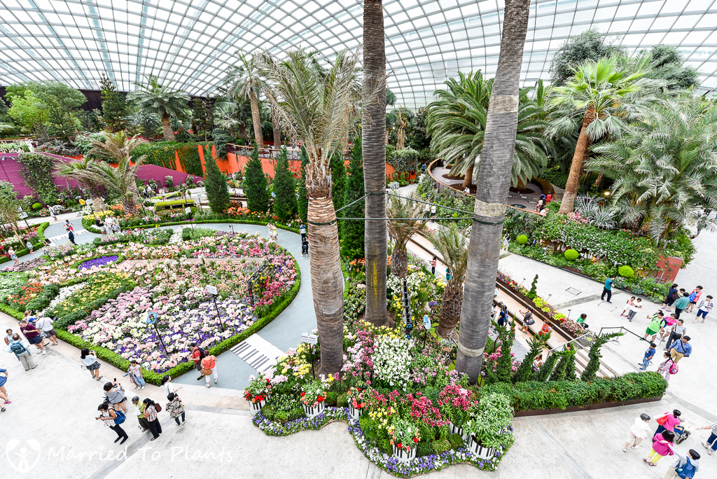 Gardens by the Bay Flower Dome