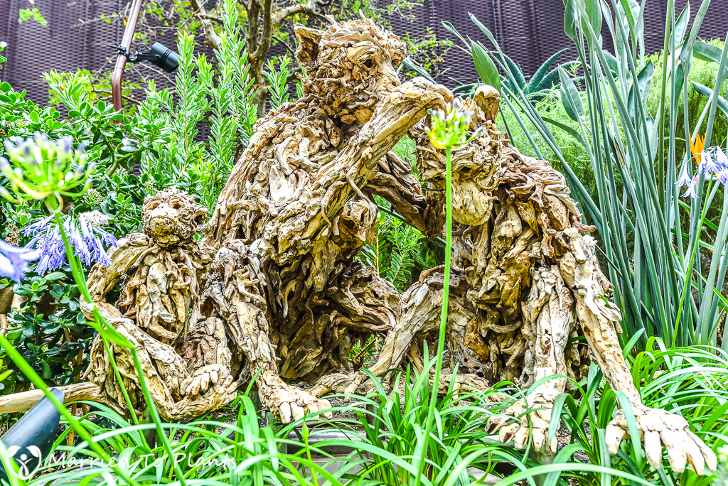 Gardens by the Bay Flower Dome Driftwood Art