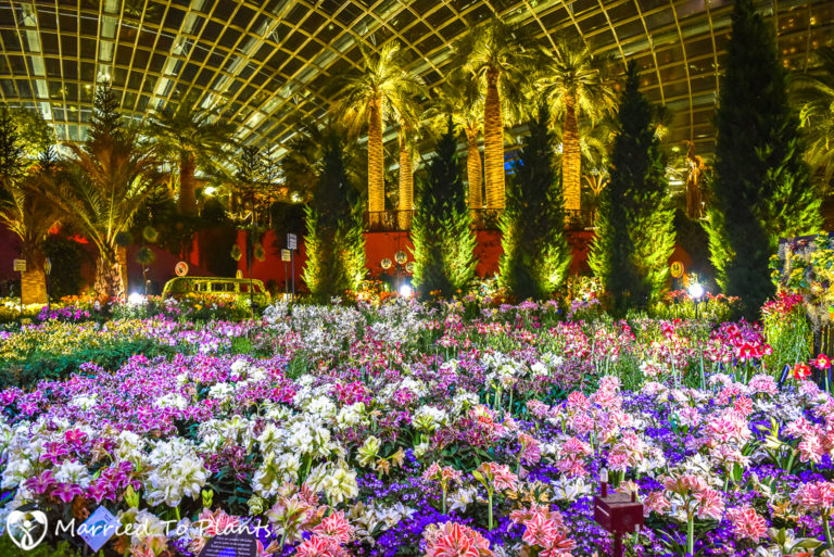 Tour of Gardens by the Bay in Singapore