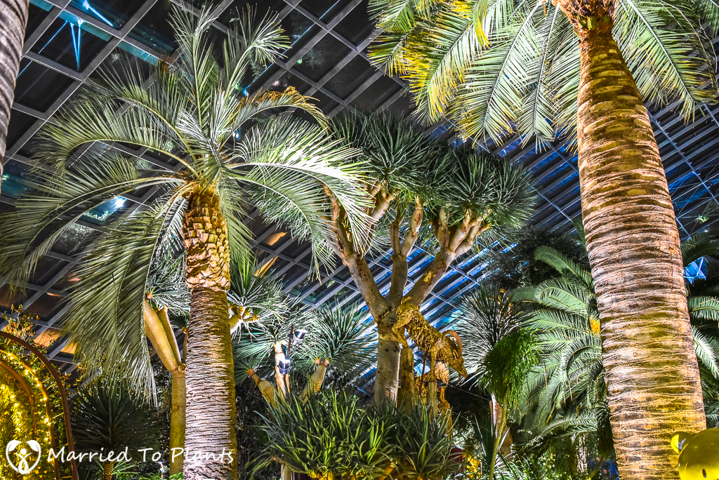 Gardens by the Bay Flower Dome at Night
