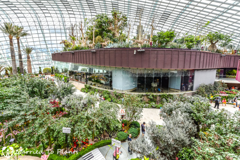 Tour of Gardens by the Bay in Singapore