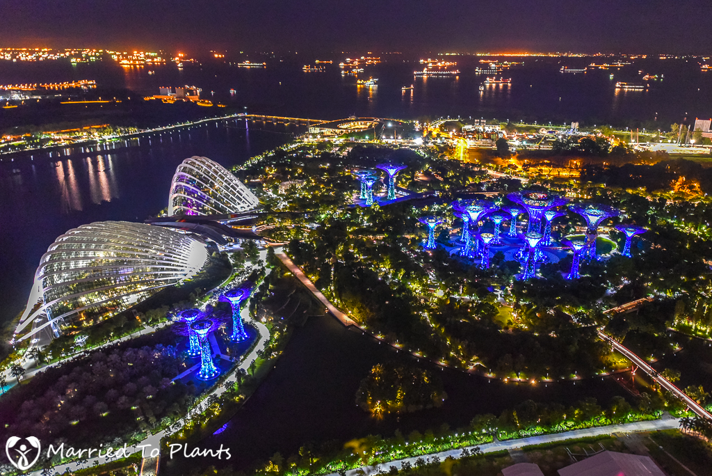 Gardens by the Bay at Night