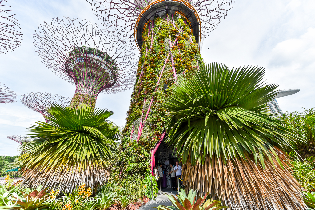 Gardens by the Bay Super Tree Elevator