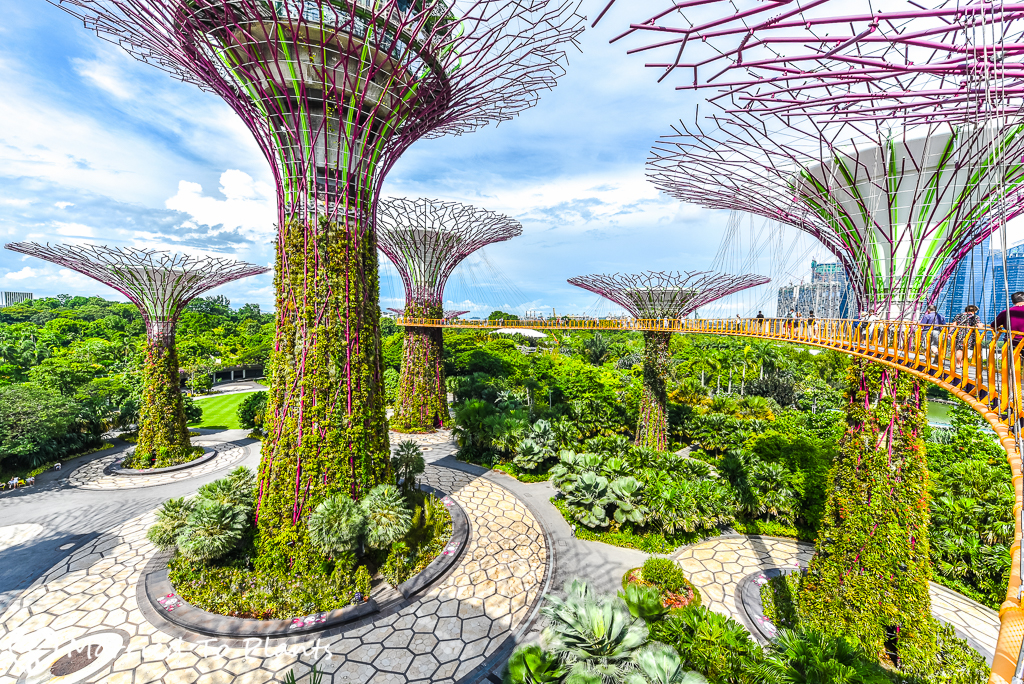Singapore Gardens By The Bay Supertrees