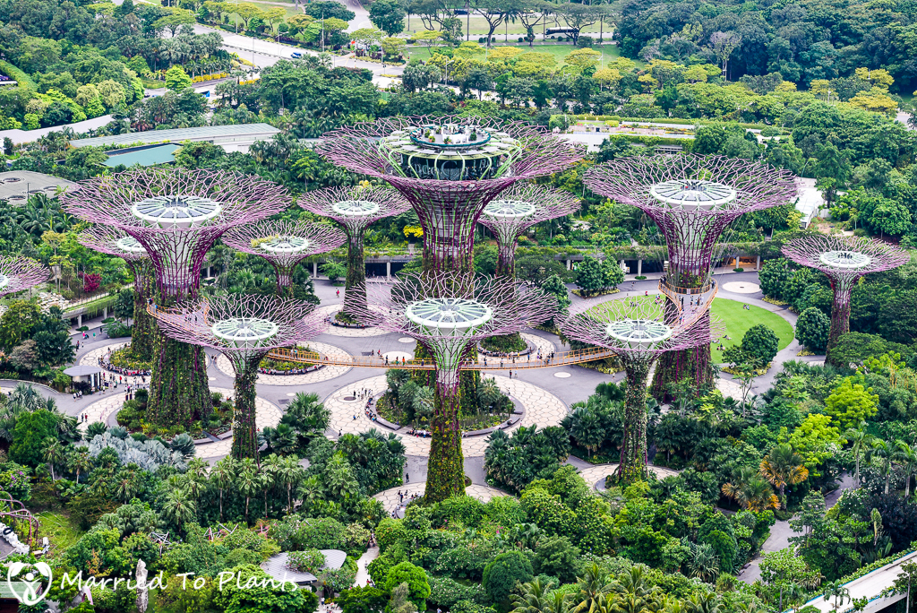 Gardens by the Bay Super Trees