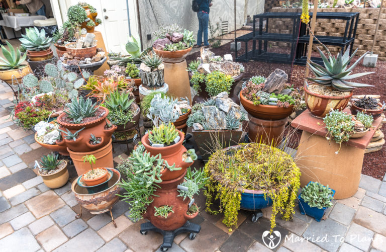 Succulent Garden Party at the Rick Bjorklund and Greg Starr residence