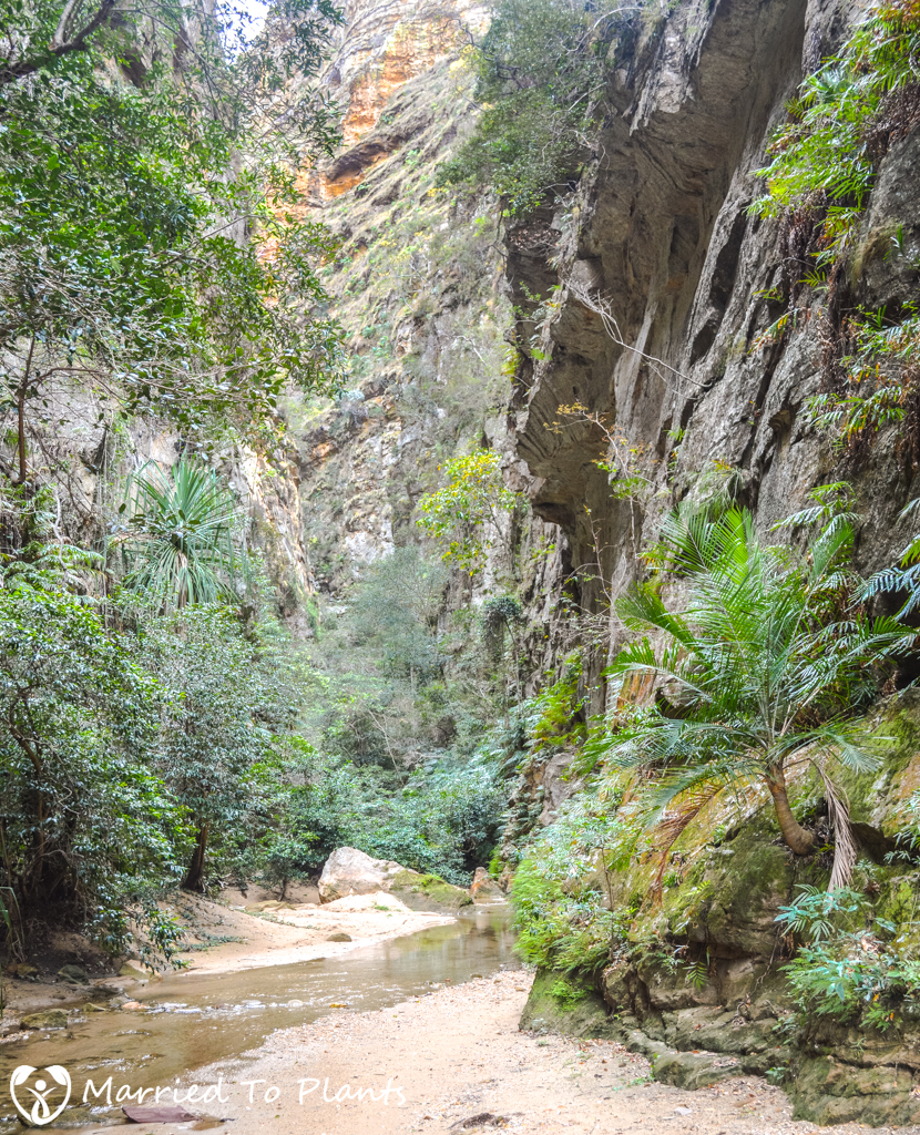 Isalo National Park Monkey Canyon