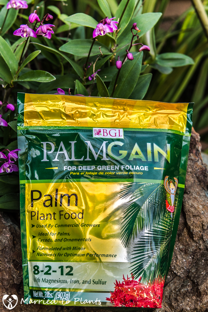 PalmGain 8-2-12 Palm Tree Fertilizer - Review Palm Tree Fertilizer 8 2 12