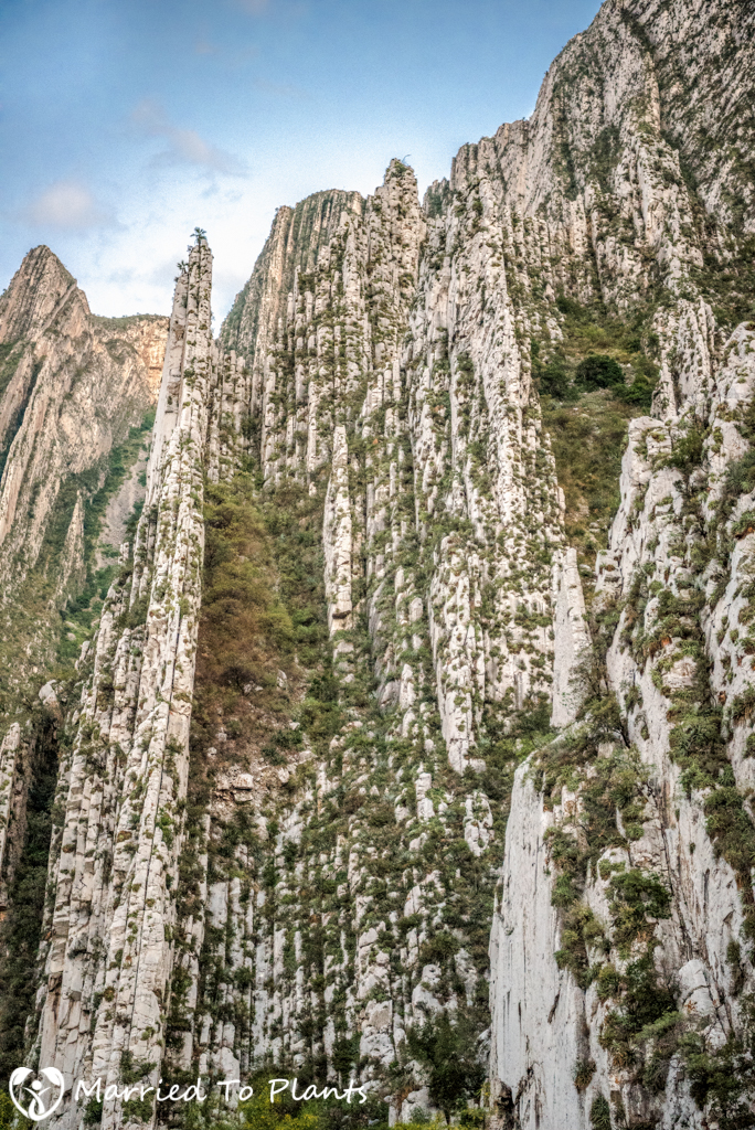 Huasteca Canyon Walls