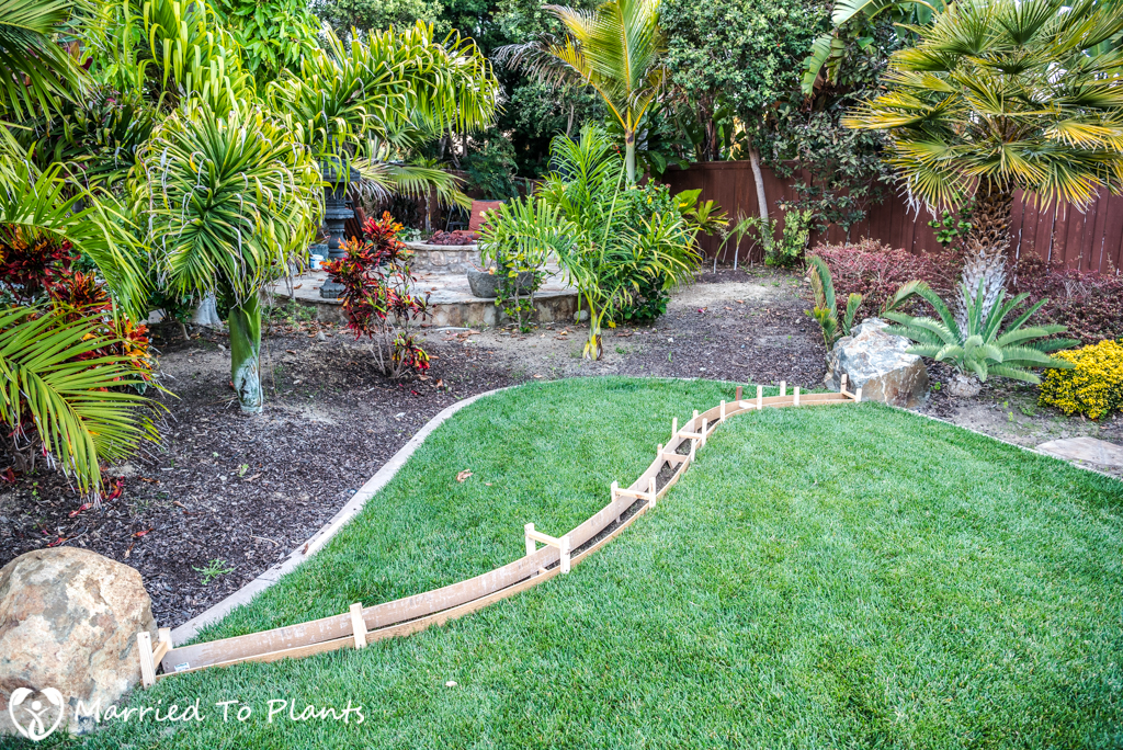 Garden Project Update - Backyard Form
