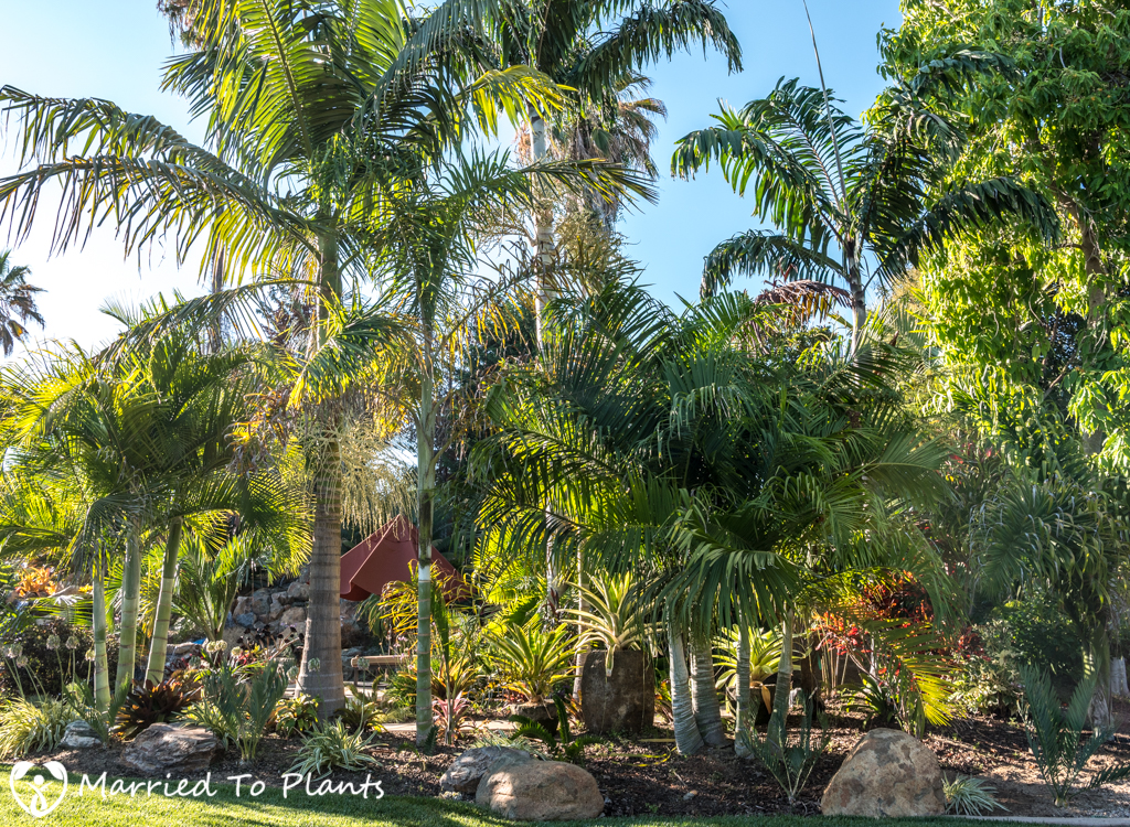 Geiger Garden - Backyard Panoramic