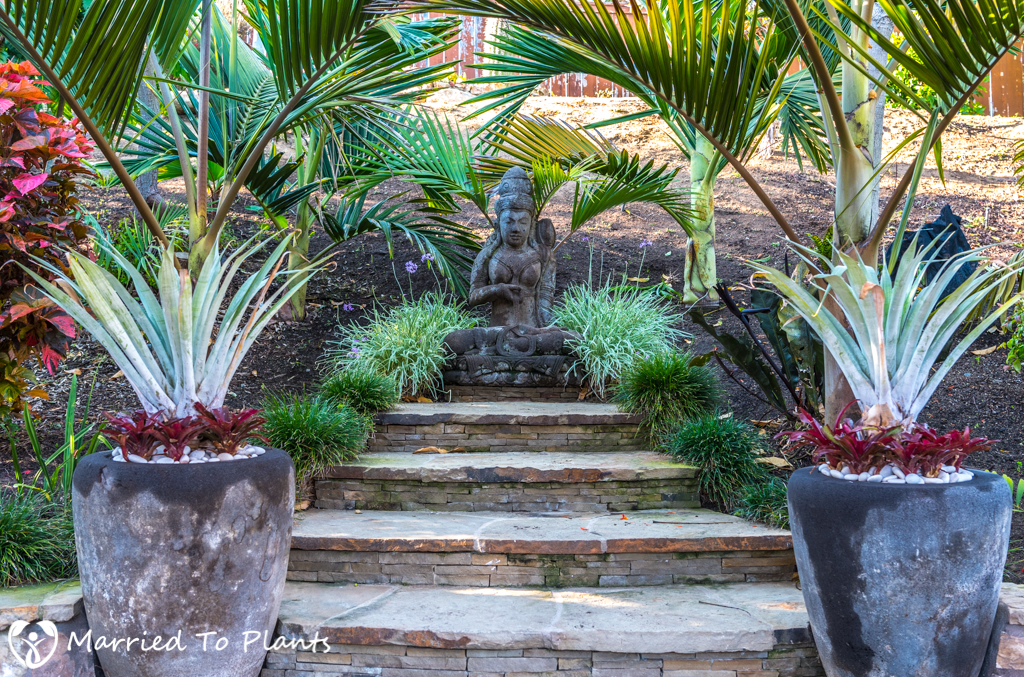 Geiger Garden - Bromeliads and Dewi Sri
